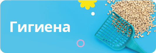 Гигиена